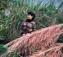 Cherry Profile image 3